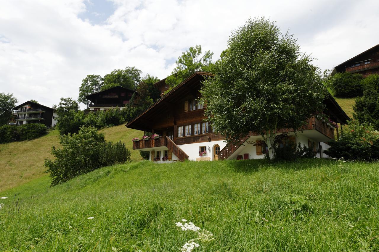 Chalet Unter Dem Stein Grindelwald Exterior foto